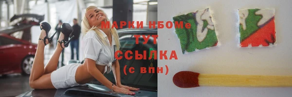 шишки Алзамай
