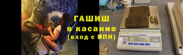 шишки Алзамай