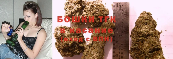 шишки Алзамай