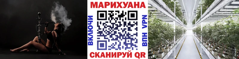 где продают наркотики Ленинск-Кузнецкий ссылка на мегу как войти Шишки марихуана марихуана